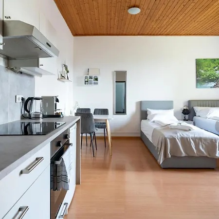Coy Apartments Leoben - Stay Comfortable & Work Smart Buitenkant foto