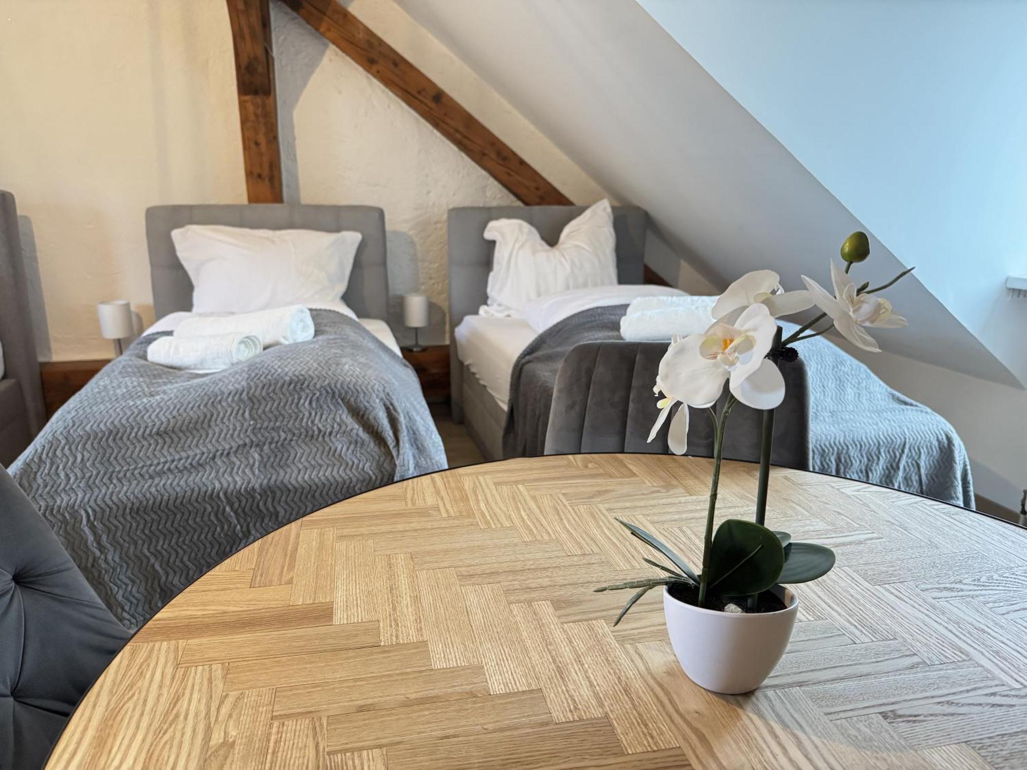 Coy Leoben - Comfortable & Work Smart * Leoben (Styria)